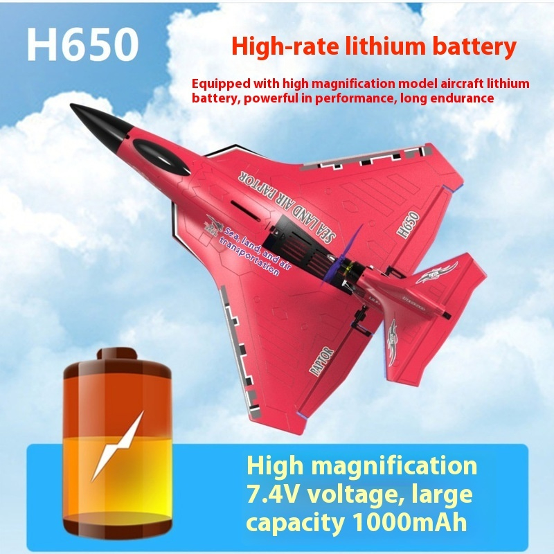 Rc Glider Foam Wing - H650 Big Size Rc Plane Water