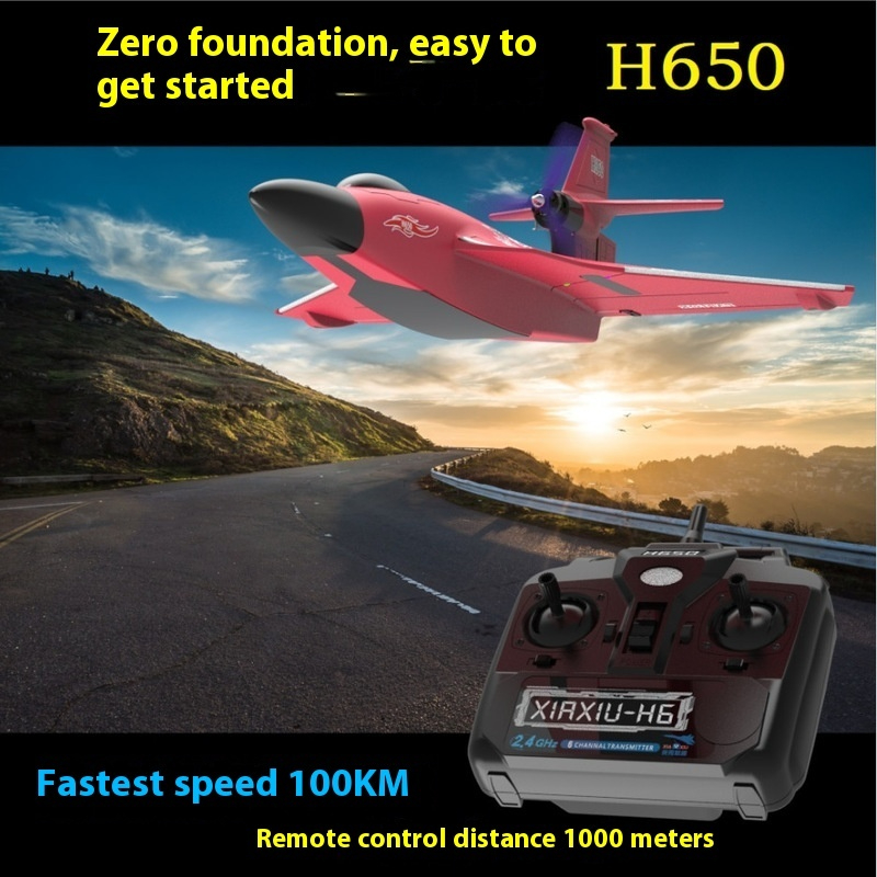 H650 Big Size Rc Plane Water P - Rc Glider Foam Wing ulasan dan harga